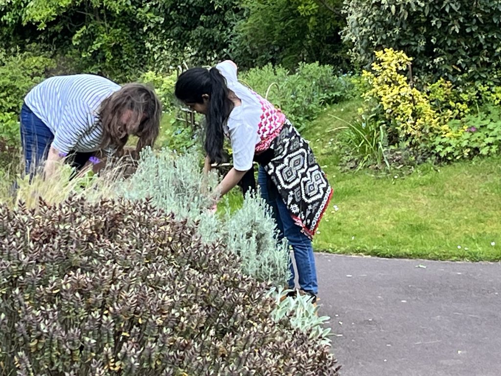 Volunteer replanting at Phyllis Tuckwell Hospice