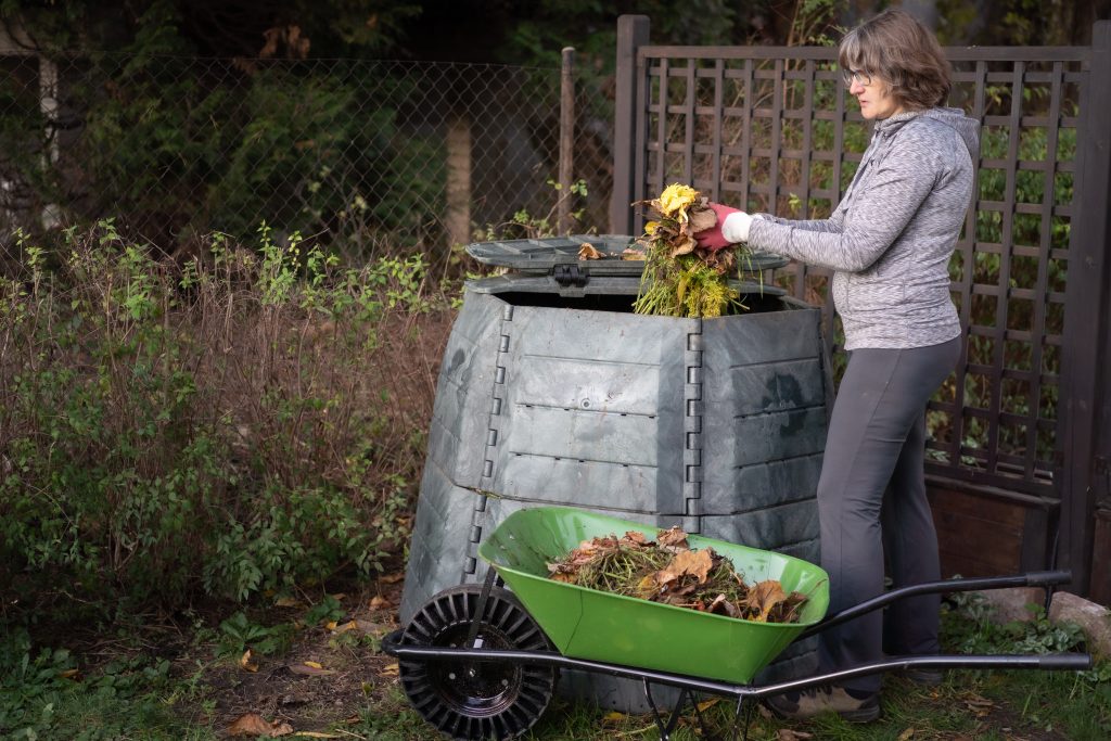 Middle aged caucasian woman throwing garden waste from wheelbarrow into compost bin in garden.